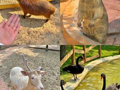 -南戴河国际娱乐中心