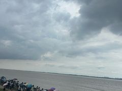 -观潮胜地公园
