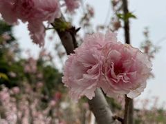 -长廊欢乐园