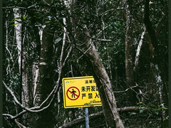 -马峦山郊野公园