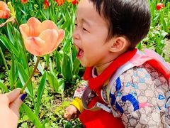 -长春公园(普阳街道)