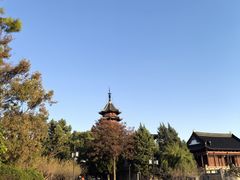 -苏州吴宫泛太平洋酒店