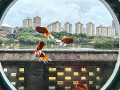 -珠海圆明新园