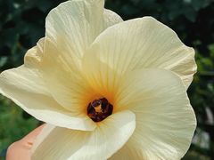 -呼吸森林·生态农庄农家乐私房菜