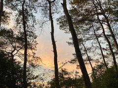 -溪口-滕头旅游景区