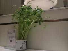 -泉上·发现DISCOVERY ·黔菜餐厅(银海元隆广场店)