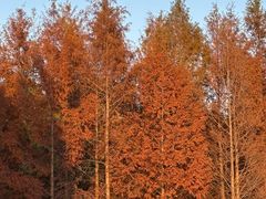 -滨湖塘西河公园