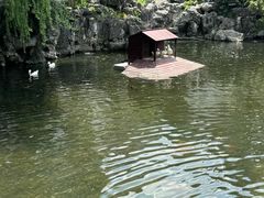 -豫园