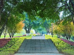 -龙头寺公园