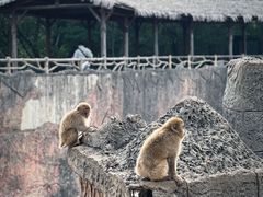 -南昌动物园