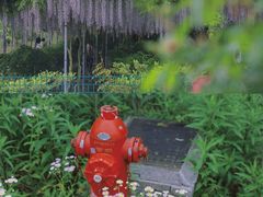 -广富林郊野公园