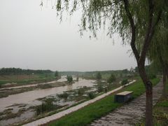 -洨河生态公园
