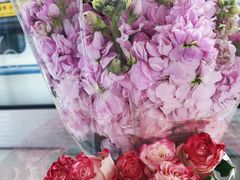 -循礼门鲜花花市(武汉循礼门店)