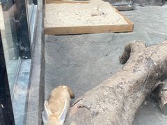 -宁波野生动物园