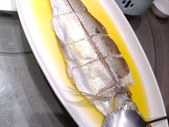 -阿甘小馆(陇海路店)