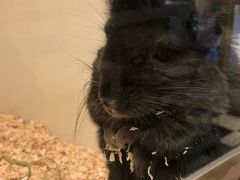 -龙猫仔乐园(惠福东路店)