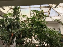 -一号桥自助火锅城(揽秀园西街店)