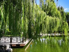 -玲珑塔公园