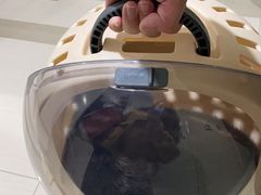 -伟伟宠物医院·CT影像中心·瑞派犬猫综合性门诊(汉口总院)