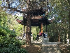 -敬亭山风景名胜区