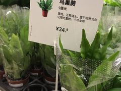 -IKEA宜家家居(南京商场)