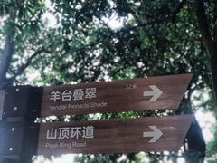 -阳台山森林公园