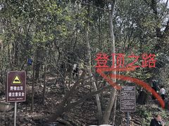 -紫金山山顶公园