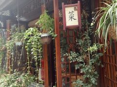 -泡桐树街