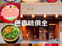 -色響火锅(恒隆广场店)