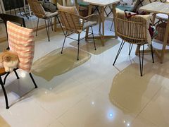 -IYO矮哟猫主题休闲馆·猫咖(南山店)