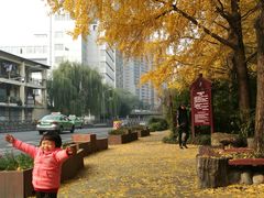 -成都市活水公园
