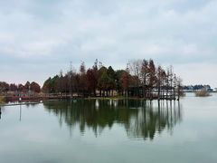 -尚贤河湿地
