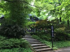 -MAMACHA妈妈茶(岳麓山店)