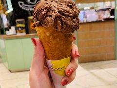 黑巧克力冰淇淋-LUNEURS月乐诗 冰淇淋咖啡(环贸店)