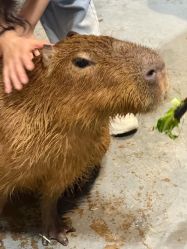 -Zoolung Zoolung动物主题公园(海信广场店)