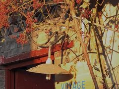 -VOYAGE COFFEE(北锣鼓巷店)