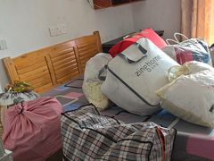 -蚂蚁搬家成都打包搬运公司