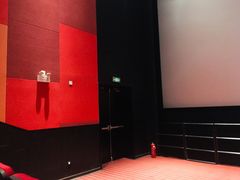 -百丽宫影城(CGS激光苏宁广场店)