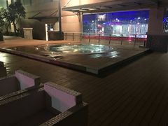 -芽庄喜来登水疗酒店