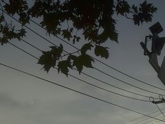 -上海市第五人民医院