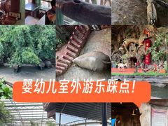 -长鹿旅游休博园