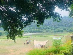 -风云岭森林公园