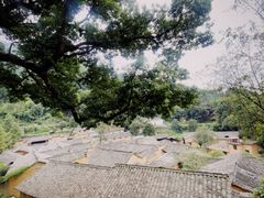 -杨家堂村