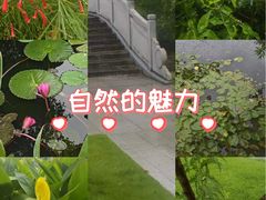 -四海公园(南山区)