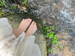 -阳台山森林公园