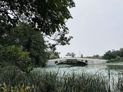 -东湖落雁景区