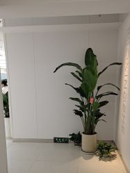 点击看大图 -魔型社烫染店