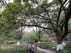 -望江楼公园