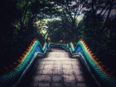 -西双版纳勐泐文化旅游区