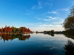 -贡湖湾湿地公园